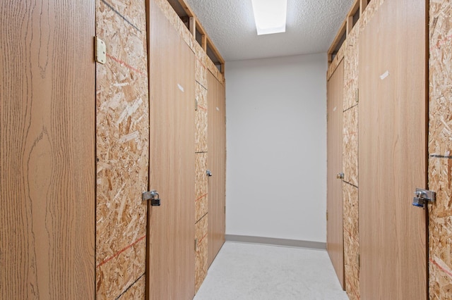 610 Whiskey Rd NW Unit 115, Isanti, MN 55040 - corridor with a textured ceiling and carpet