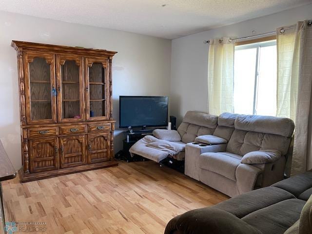living area with light wood finished floors
