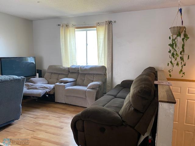 living room featuring light wood finished floors