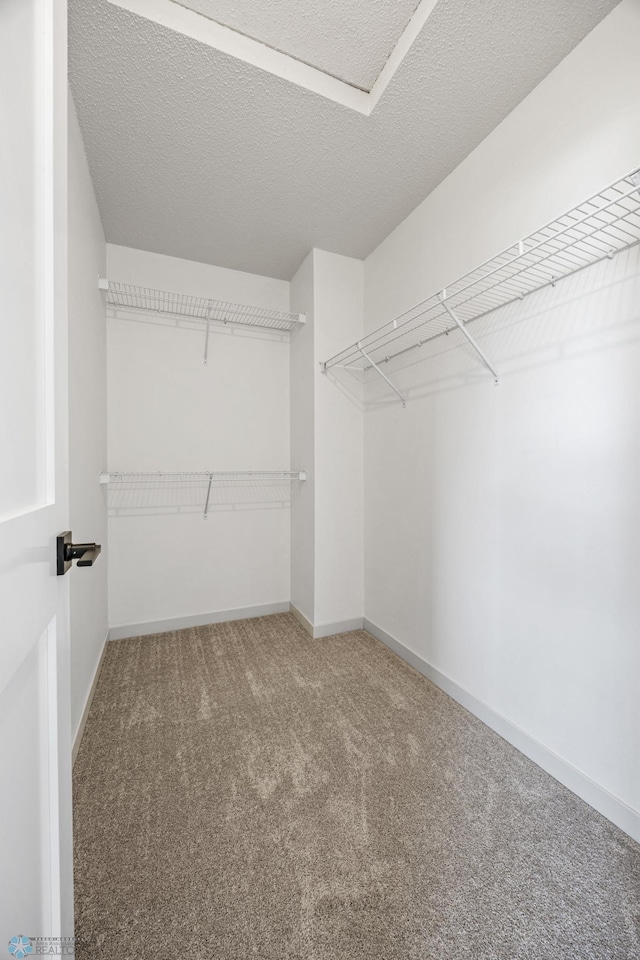 1683 Oakwood Dr, West Fargo, ND 58078 - walk in closet with carpet floors