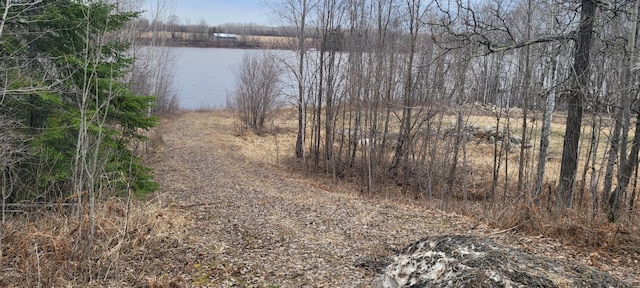 1693 Town Rd Unit 112, Birchdale, MN 56629 - water view