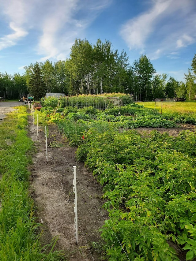 1693 Town Rd Unit 112, Birchdale, MN 56629 - surrounding community with a garden