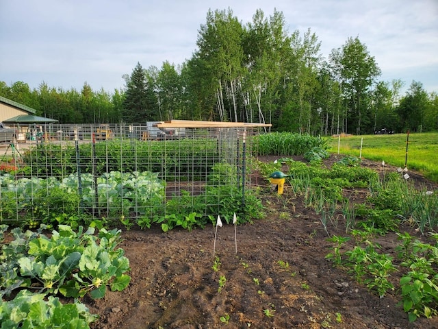 1693 Town Rd Unit 112, Birchdale, MN 56629 - view of yard featuring a vegetable garden