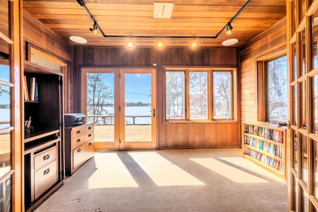 interior space with rail lighting, a wealth of natural light, and a water view