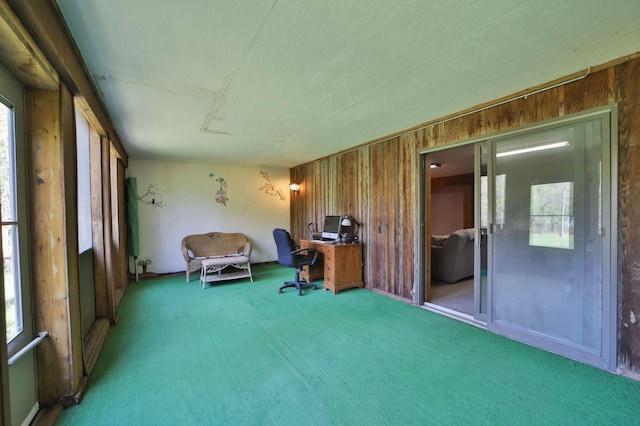 24997 145th Ave, Fort Ripley, MN 56449 - carpeted home office with wooden walls