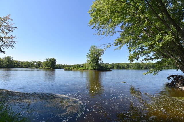 24997 145th Ave, Fort Ripley, MN 56449 - water view with a heavily wooded area