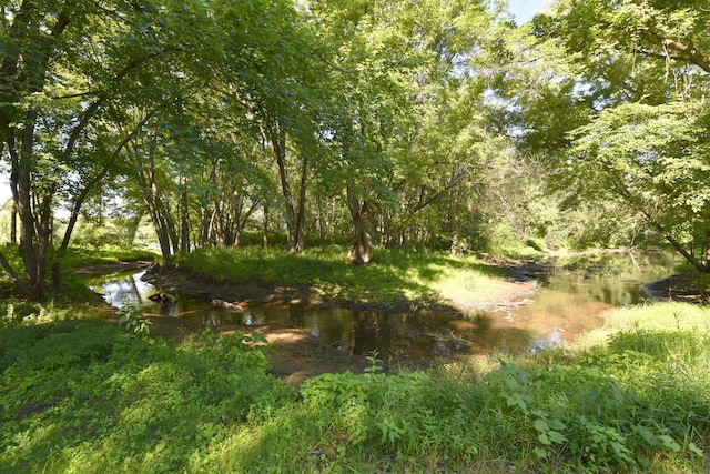24997 145th Ave, Fort Ripley, MN 56449 - view of local wilderness