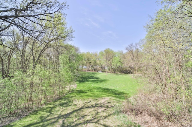 24997 145th Ave, Fort Ripley, MN 56449 - view of community with a lawn and a forest view