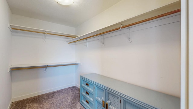 577 Keefe Ct NW, Eyota, MN 55934 - walk in closet with carpet floors