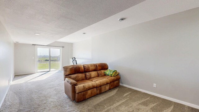577 Keefe Ct NW, Eyota, MN 55934 - living area with carpet, baseboards, and a textured ceiling