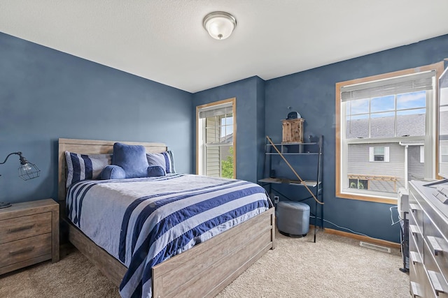 11852 Emery Village Dr N Unit 3302, Champlin, MN 55316 - bedroom featuring carpet and baseboards