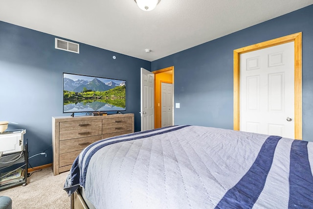 11852 Emery Village Dr N Unit 3302, Champlin, MN 55316 - view of carpeted bedroom