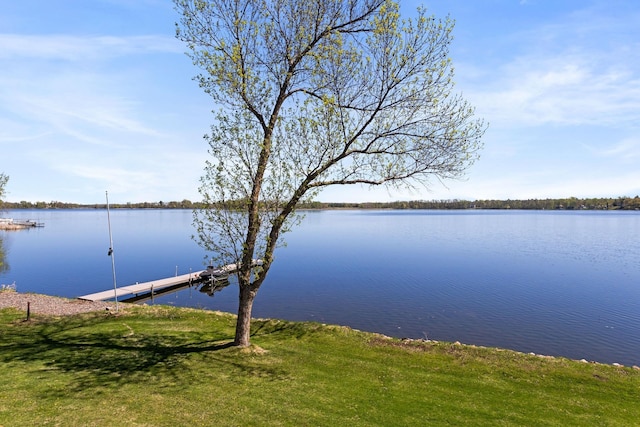 46463 Cambridge Dr, Stanchfield, MN 55080 - water view with a dock