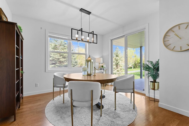 11464 Wagon Wheel Curv, Woodbury, MN 55129 - dining room featuring baseboards, healthy amount of natural light, a chandelier, and wood finished floors