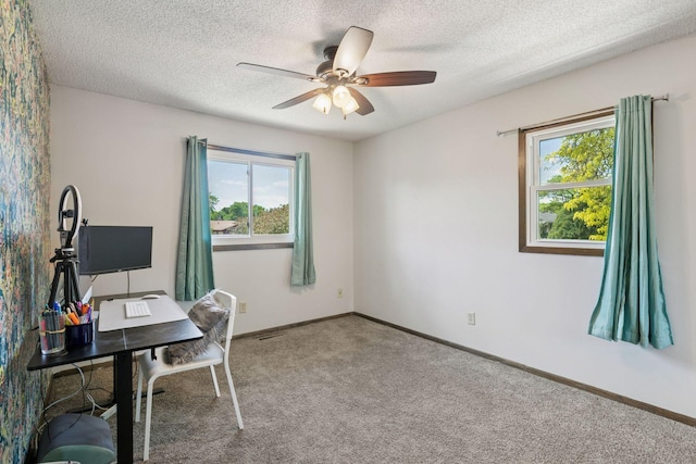 7900 Idaho Cir N, Brooklyn Park, MN 55445 - carpeted office space with a ceiling fan, baseboards, and a textured ceiling