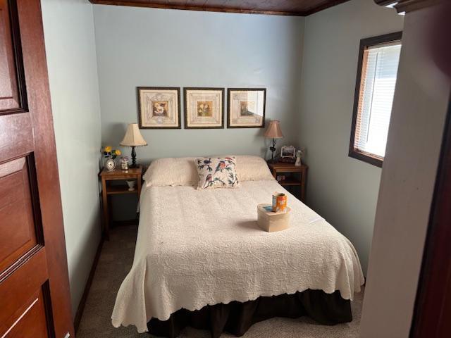 bedroom with carpet