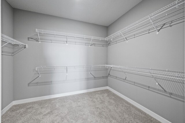 2343 Aloha Ave, Shakopee, MN 55379 - photo 28