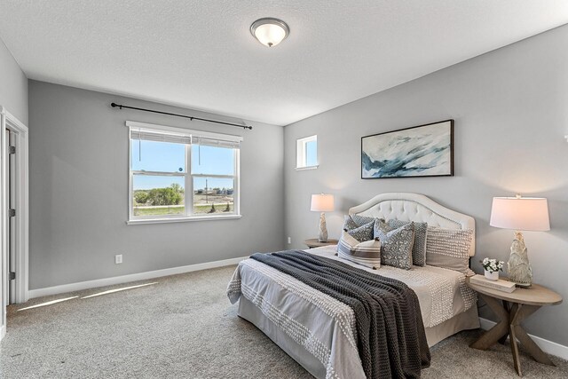 2343 Aloha Ave, Shakopee, MN 55379 - photo 21