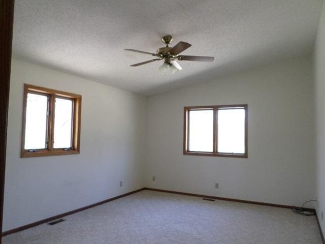 202 Buse Ave NE, Red Lake Falls, MN 56750 - empty room featuring a wealth of natural light, light carpet, and visible vents