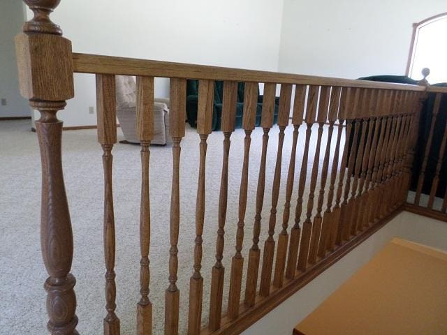 202 Buse Ave NE, Red Lake Falls, MN 56750 - stairs featuring carpet