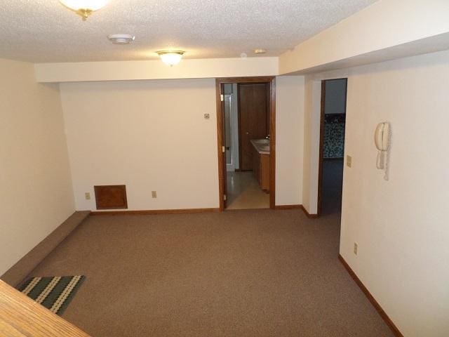 202 Buse Ave NE, Red Lake Falls, MN 56750 - finished below grade area with a textured ceiling, baseboards, and carpet floors
