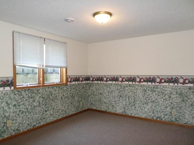 202 Buse Ave NE, Red Lake Falls, MN 56750 - view of carpeted empty room