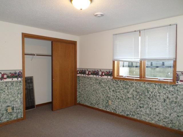 202 Buse Ave NE, Red Lake Falls, MN 56750 - unfurnished bedroom with carpet floors and a closet