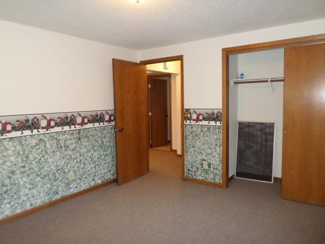 202 Buse Ave NE, Red Lake Falls, MN 56750 - unfurnished bedroom with carpet flooring and a closet