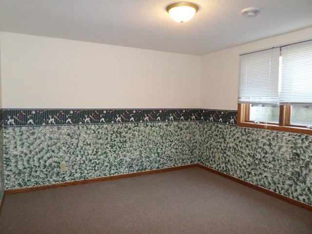 202 Buse Ave NE, Red Lake Falls, MN 56750 - carpeted spare room featuring a wainscoted wall