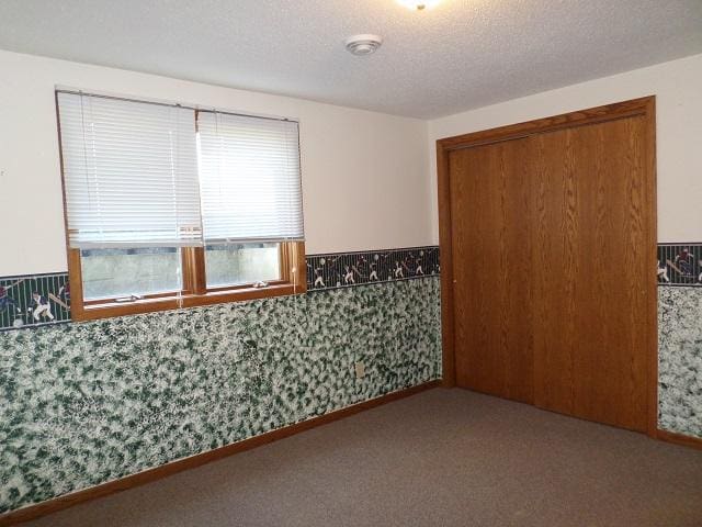202 Buse Ave NE, Red Lake Falls, MN 56750 - carpeted spare room with a textured ceiling and a wainscoted wall