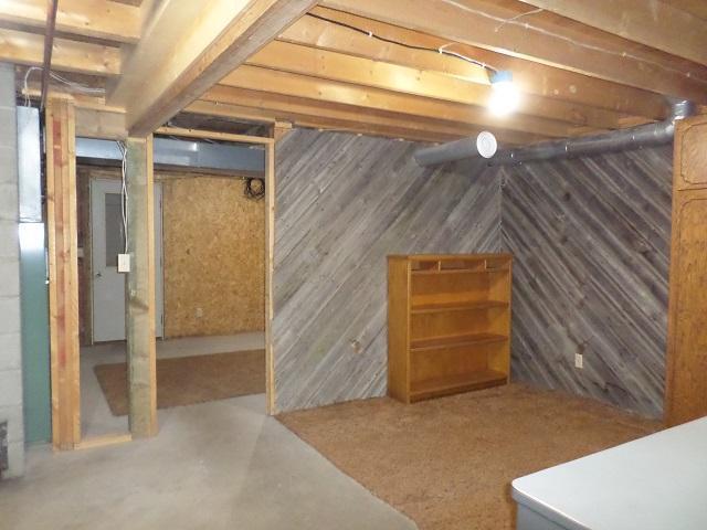 202 Buse Ave NE, Red Lake Falls, MN 56750 - unfinished below grade area featuring wooden walls