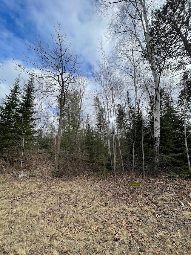 TBD Wildwood Rd, Farden Twp, MN 56633