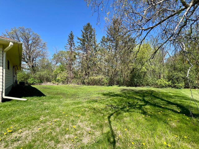 view of green lawn
