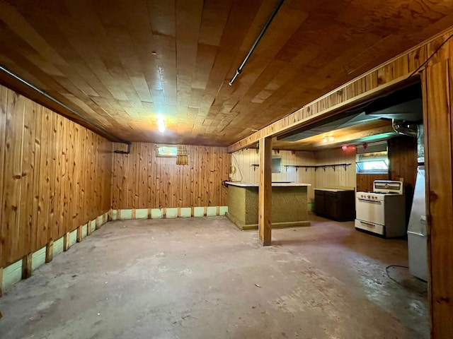 below grade area with wooden walls and baseboards