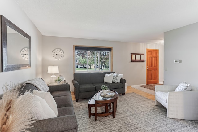 living room with wood finished floors