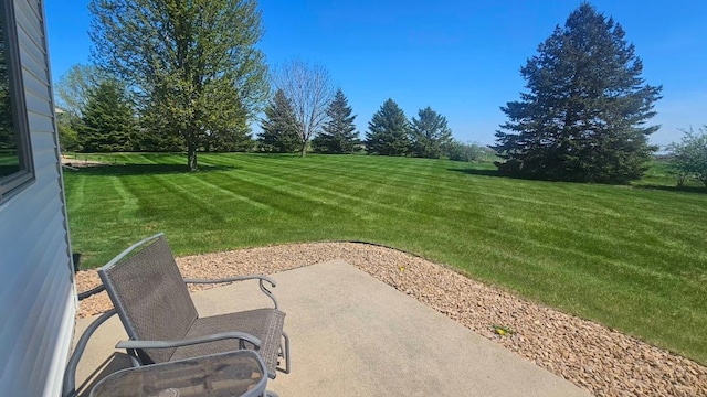 view of grassy yard with a patio area