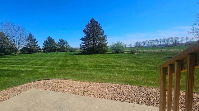 view of green lawn