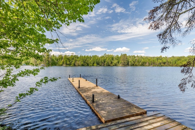 dock area with a water view and a view of trees