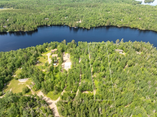 birds eye view of property with a water view and a forest view