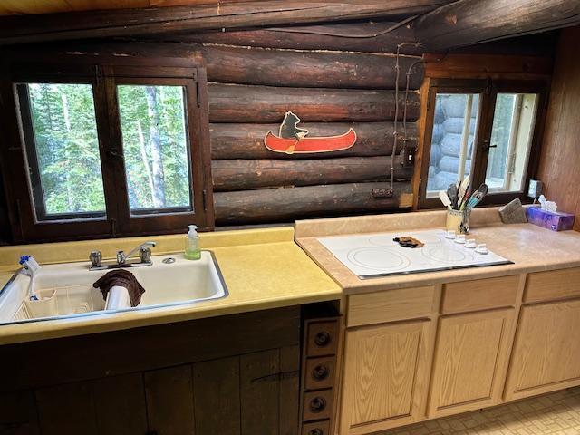 bathroom featuring a wealth of natural light, rustic walls, and a sink
