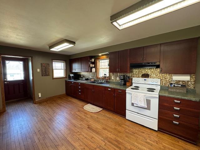 kitchen featuring electric stove, under cabinet range hood, a sink, tasteful backsplash, and light wood-type flooring