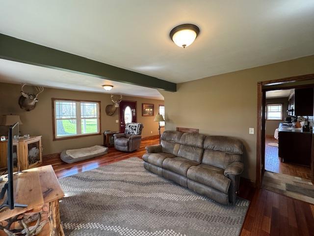 living room with wood finished floors, beam ceiling, and baseboards