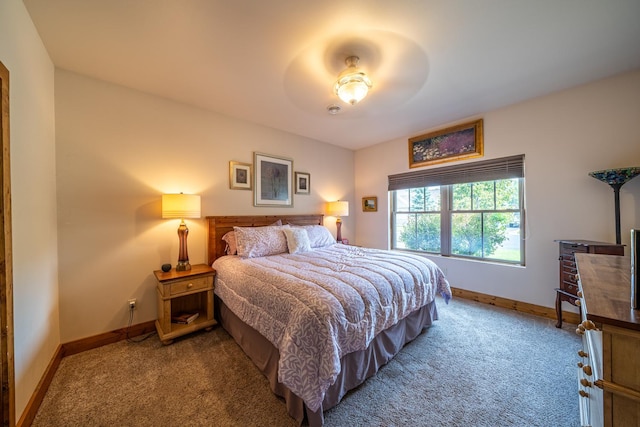 bedroom with baseboards and carpet floors