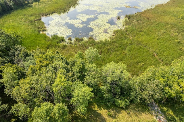 bird's eye view featuring a view of trees