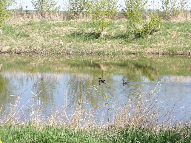 view of water feature