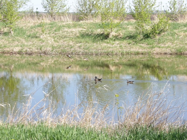 view of water feature