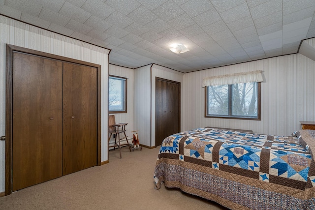 37229 790th Ave, Rosendale Twp, MN 56060 - carpeted bedroom with two closets and a baseboard radiator