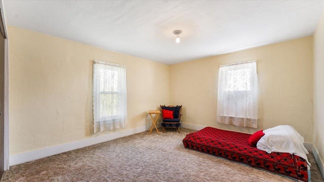 carpeted bedroom with multiple windows and baseboards