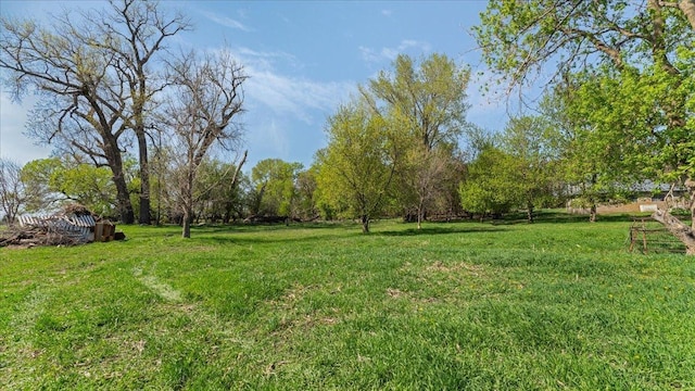 view of grassy yard