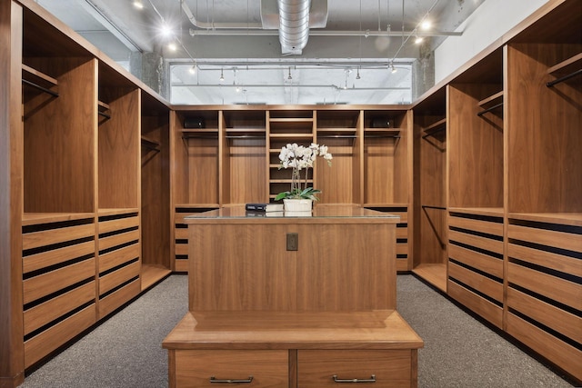 700 2nd St Unit W31, Minneapolis, MN 55401 - walk in closet with carpet floors